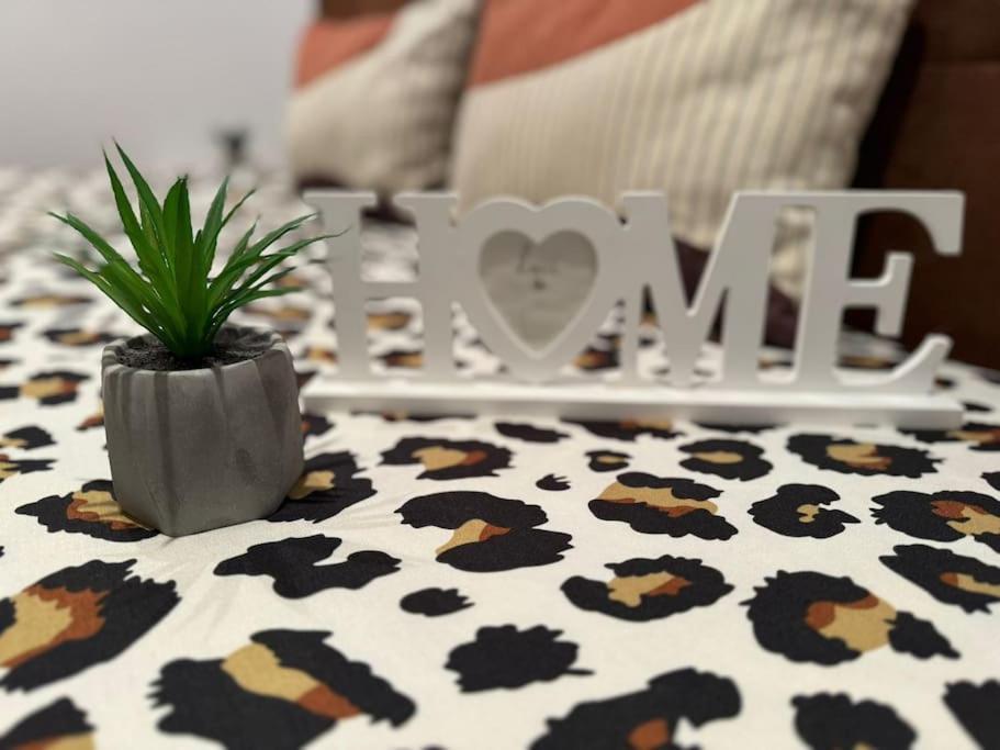 Iazi Apartament Braşov Eksteriør bilde