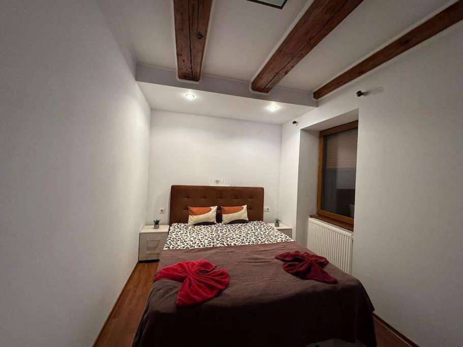 Iazi Apartament Braşov Eksteriør bilde
