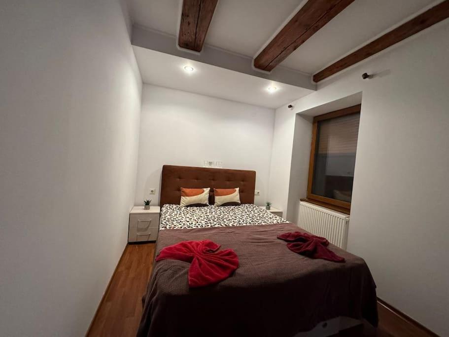 Iazi Apartament Braşov Eksteriør bilde