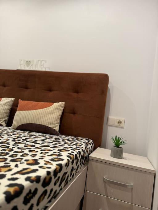 Iazi Apartament Braşov Eksteriør bilde