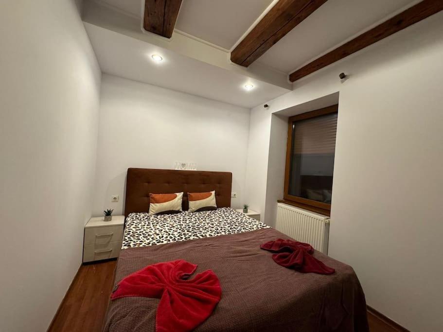 Iazi Apartament Braşov Eksteriør bilde