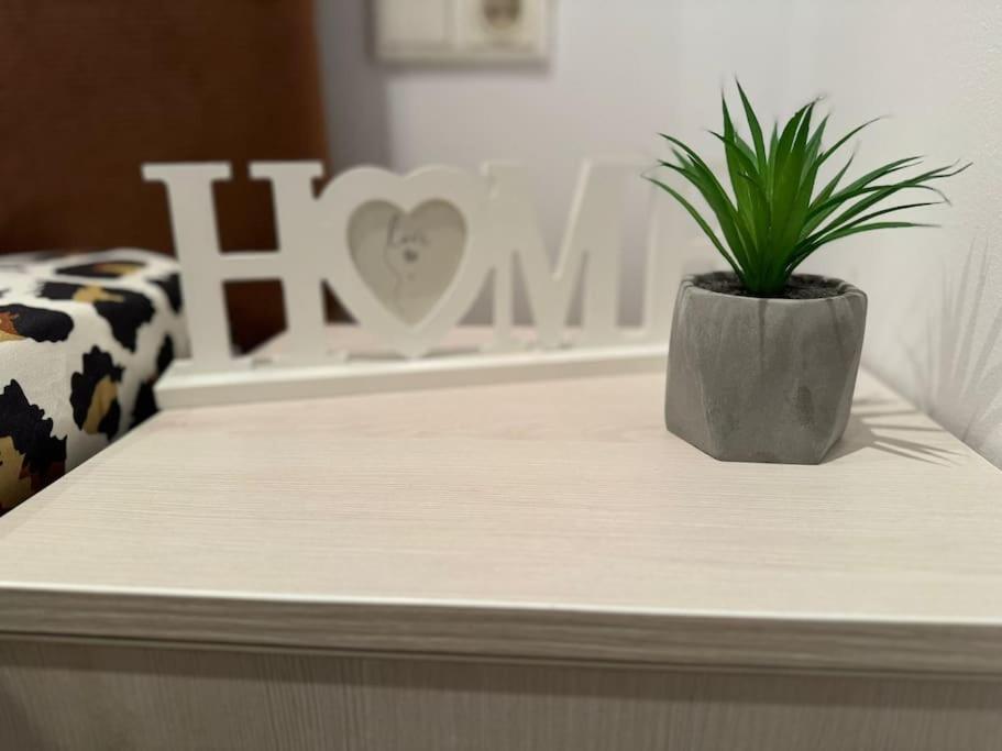 Iazi Apartament Braşov Eksteriør bilde
